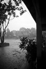 Description: C:\Users\Dad-Win7\Desktop\GSMDM\summer\storypix\Rain.jpg